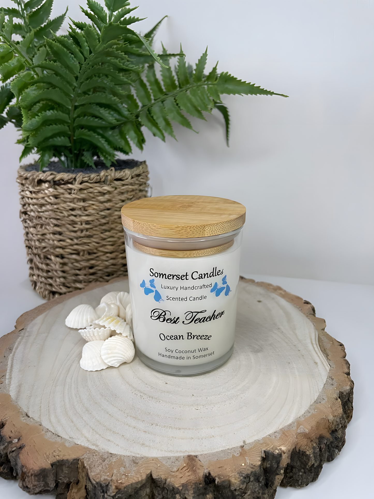 Best Teacher Ocean Breeze 
scented soy candle displayed on a wooden board with white shells to the left side and a plant behind. The candle is white in colour with bright blue butterflies fluttering above the scent name. A bamboo lid is fitted.