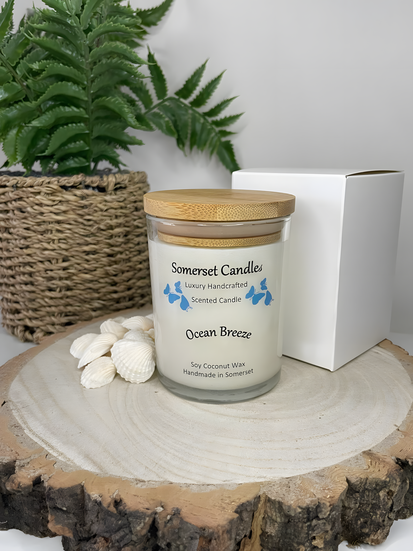 Ocean Breeze scented soy candle displayed on a wooden board with beautiful white shells and a white gift box. The candle is white in colour with bright blue butterflies fluttering above the scent name and fitted with a lovely bamboo lid.