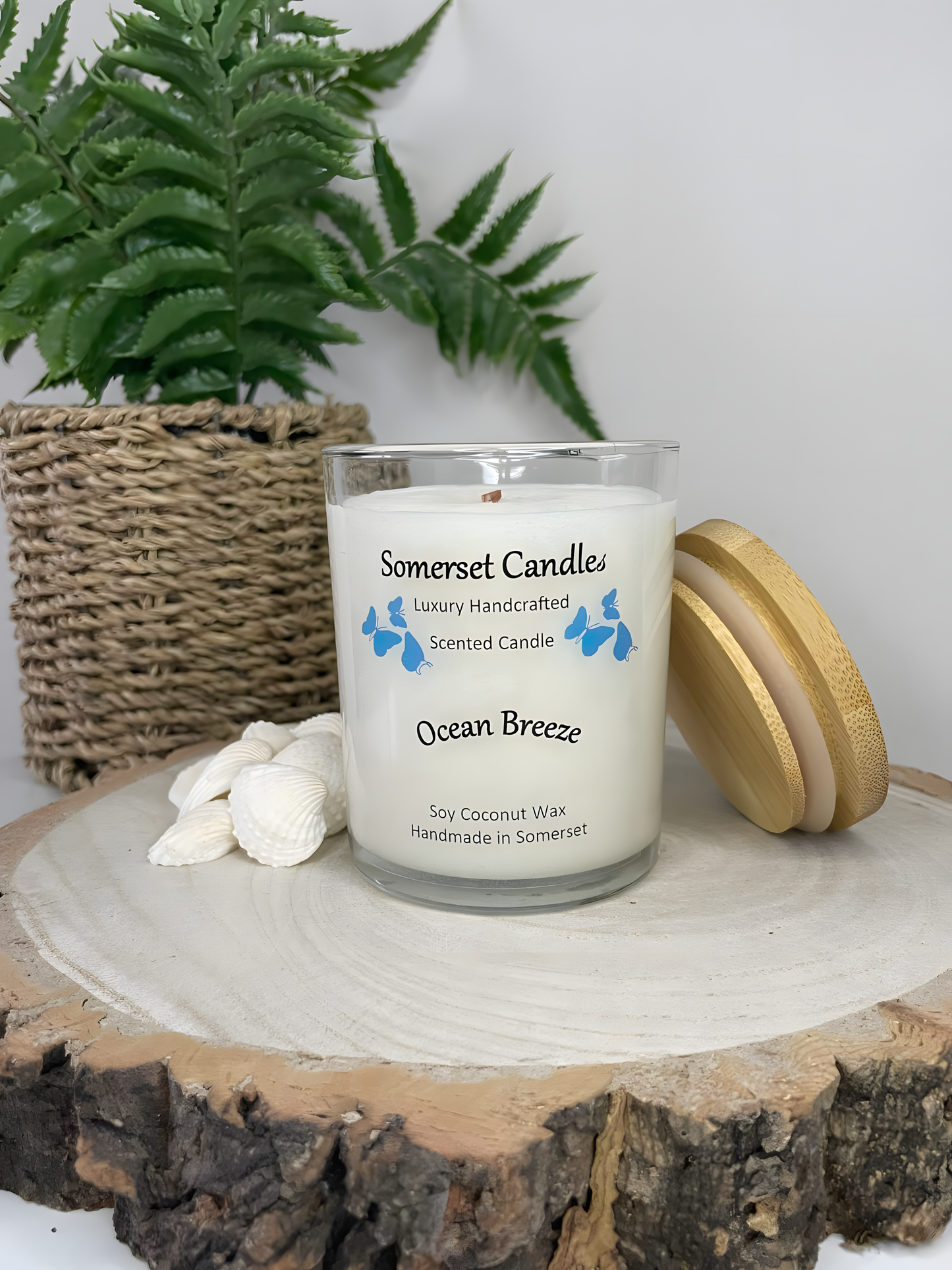 Ocean Breeze scented soy candle displayed on a wooden board with beautiful white shells. The candle is white in colour with bright blue butterflies fluttering above the scent name with a lovely bamboo lid lent against the right side of the candle.